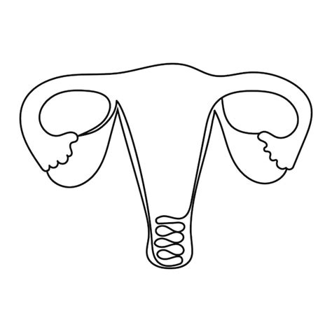 O útero Humano é Desenhado Em Um Estilo De Linha Contínua Em Um ícone