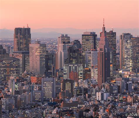 新宿エリア | Tokyo Tourist Information