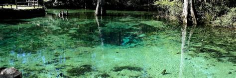 Ponce de Leon Springs Park - Northwest Florida | Warm Springs - Top Hot ...