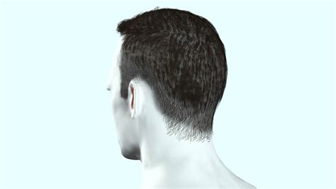 Realistic Male Hair - 3D Model by khaloui