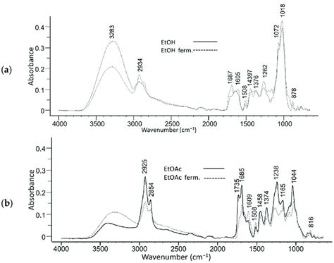 Atr Ftir Absorption Spectra Of Unfermented And Fermented Olive Leaves Download Scientific