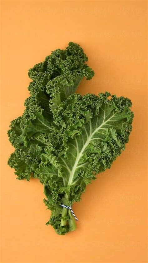 6 Health Benefits of Kale