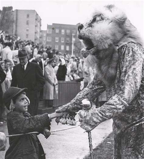 12 Photos That Show The Evolution Of Columbias Lion Mascot Over The