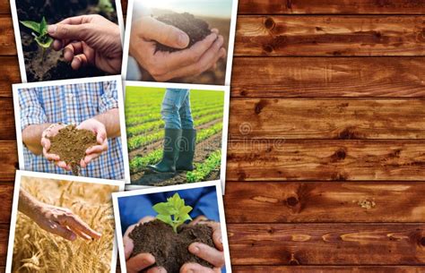 Fotos Temáticas Del Collage De La Agricultura Con El Espacio De La