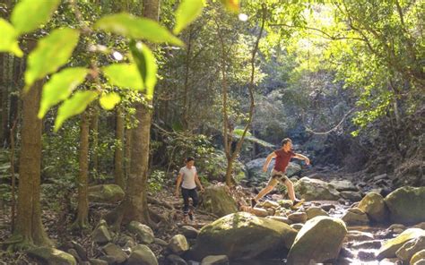 The Best Nsw National Parks For Hiking And Chasing Waterfalls