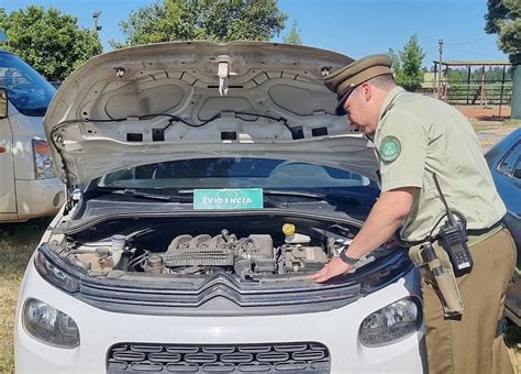 Cauquenes Carabineros Y Seguridad Municipal Detienen A Mujer Por