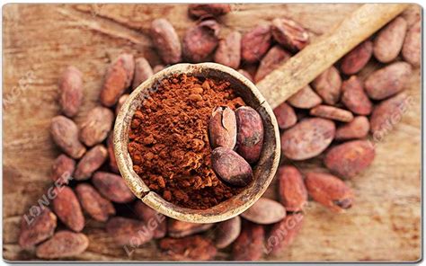 Étapes Du Traitement De Cacao Dusine De Transformation De Cacao