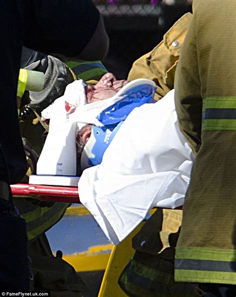 Moment Harrison Ford Was Carried Away From His Wrecked Plane Pictured