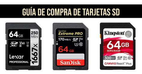 Guía de compra de tarjetas SD para fotografía julio 2021