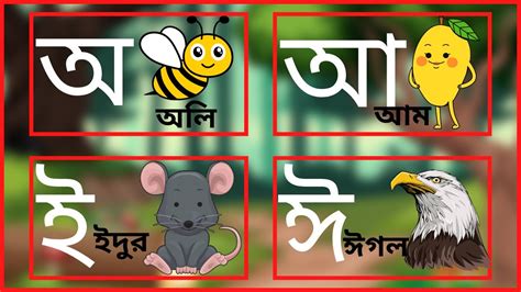 Bangla Varnamala Bengali Alphabet Learning Bornomala Sorborno অ আ ই