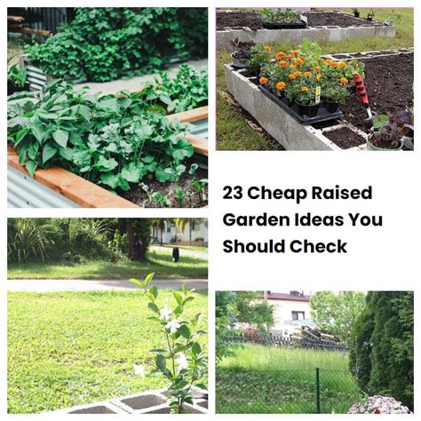 23 Cheap Raised Garden Ideas You Should Check SharonSable