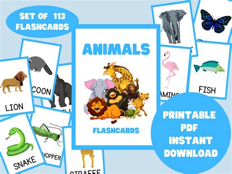 Animals 108 Printable Flashcards - Etsy