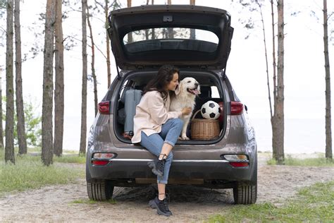 Veja como treinar e preparar seu pet para as viagens de férias DecorStyle