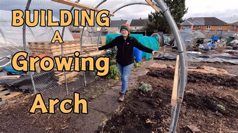 How To Build An Arched Trellis Cheap Vertical Growing For Vegetables