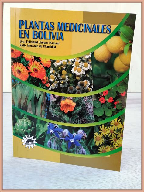 Como Hacer Extractos De Plantas Medicinales 2