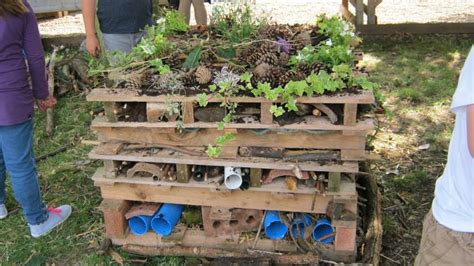 Minibeast Mansion Made At The Food Hub Minibeasts Bug Hotel