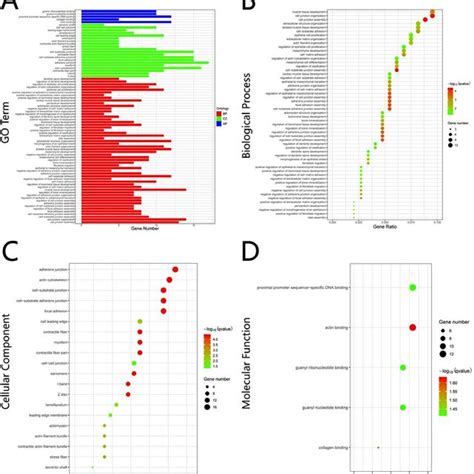 Kegg Pathway Enrichment Analysis Of Common Degs Bubble Chart For Kegg