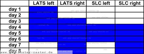 Dslwc Dlats The Gay Skater Caster