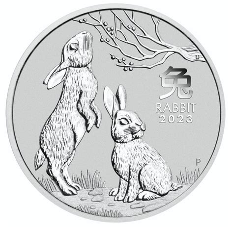 Australie Dollar Oz Silber Perth Mint Lunar Ii Jahr Des Hasen