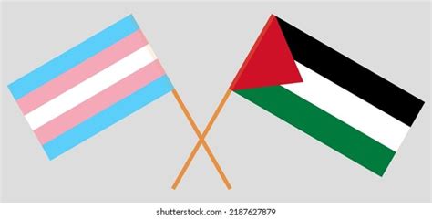 Crossed Flags Palestine Transgender Pride Official Stock Illustration