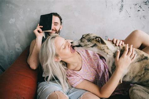 Por Que O Cachorro Lambe O Dono Descubra Os Motivos