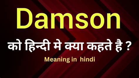 Damson Meaning In Hindi Damson Ka Matlab Kya Hota Hai Word