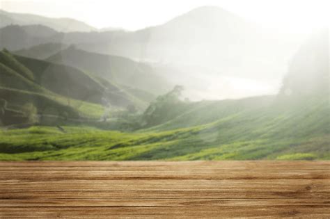 Green forest and wooden floor | Premium Photo - rawpixel