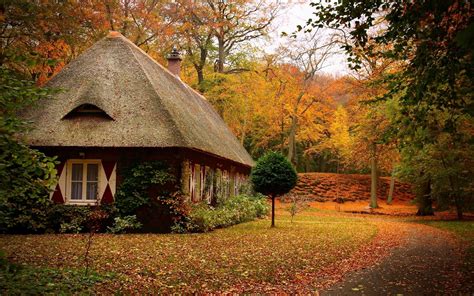 cabin, Forest, Nature Wallpapers HD / Desktop and Mobile Backgrounds