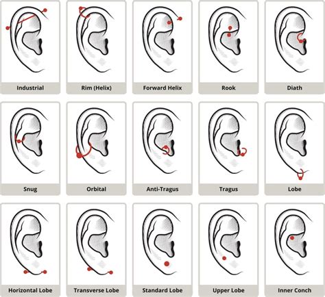 Healing Times Are Different Depending On The Piercing What To Know