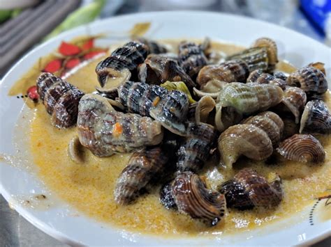 newest  snail seafood