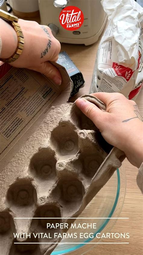 Papier M Ch Using Vital Farms Egg Cartons Video Paper Mache Crafts