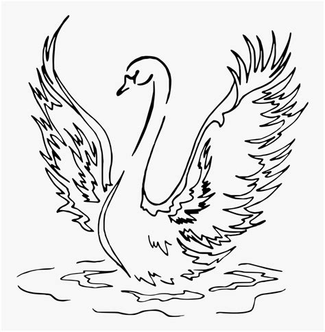 Landing Line Drawing Vector - Swan Lake Clip Art, HD Png Download - kindpng