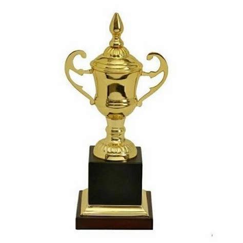 Champion Cricket Trophy at Rs 60/piece in Chennai | ID: 15592924088