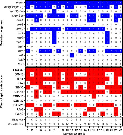 Antibiotic resistance phenotypic profile and resistance genes in 22... | Download Scientific Diagram