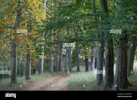 Parc Du Chateau De Nogent Le Roi Departement D Eure Et Loir Region