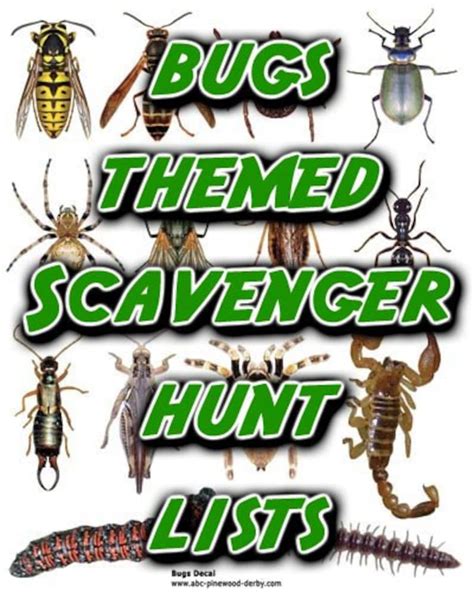 Bugs Themed Scavenger Hunt List Collection Etsy