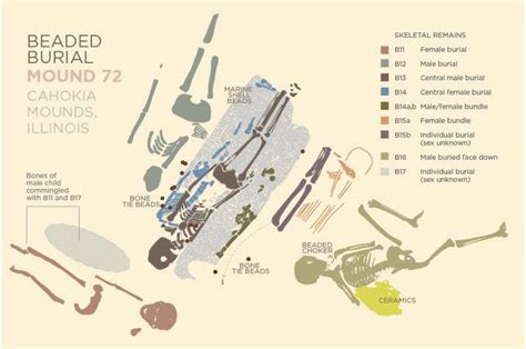 Fresh Look At Burials Mass Graves Tells A New Story Of Cahokia