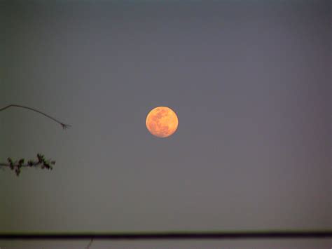Creedence Clearwater Revival Bad Moon On The Rise 12