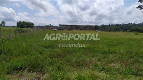 Fazenda à venda no Pará Paragominas 1748 ha Agroportal