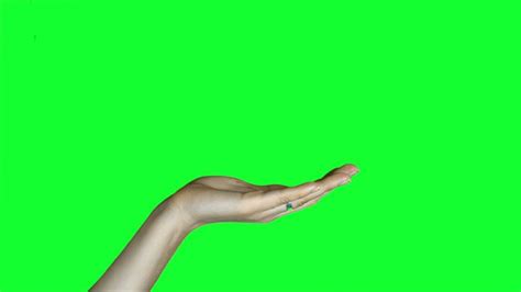 Female Hands On Green Screen Stock Video Pond5 Greenscreen