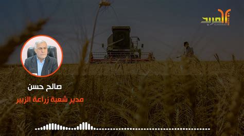 زراعة الزبير للمربد حقول نفط غرب البصرة استحوذت على اكثر من 1 5 مليون