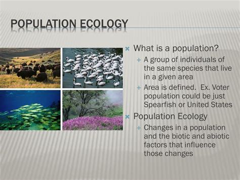 Ppt Population Ecology Powerpoint Presentation Free Download Id 1885545