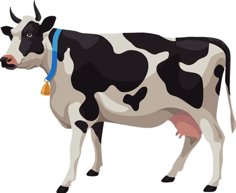 Beef Cattle Vector Graphics Clip Art Image Royalty Free Others Png