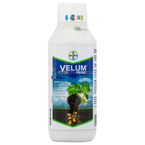 Velum Prime 1l BAYER fluopyram nematocyd na nicienie glebowe mątwiki