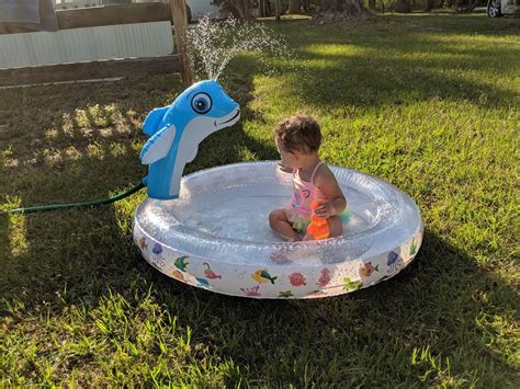 Inflatable Kiddie Pool with Dolphin Sprinkler » The Martha Review