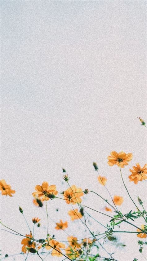 Yellow Flowers Against A Blue Sky And White Clouds