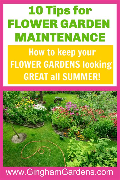 Flower Garden Maintenance Tips - Gingham Gardens