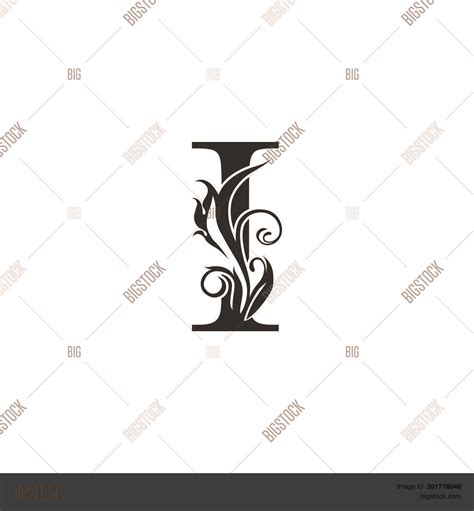 Monogram Luxury Vector Photo Free Trial Bigstock