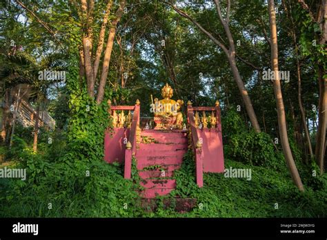 The Buddha Statue In The Forest At The Wat Tham Nimit In The City