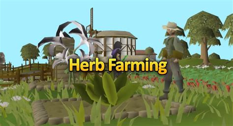 Complete Herb Farming Guide For Osrs Herb Run Guide